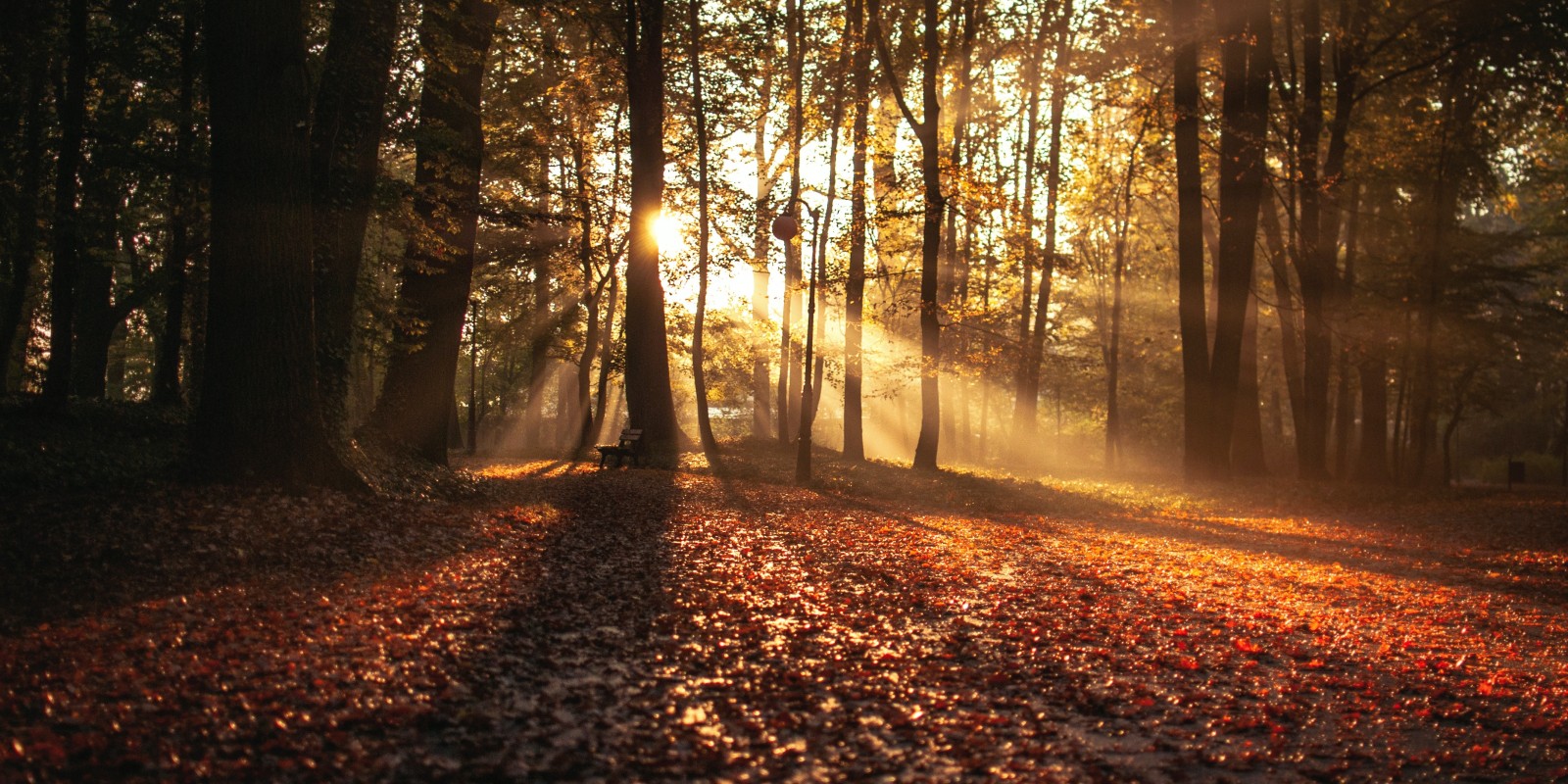 Herfstvakantie