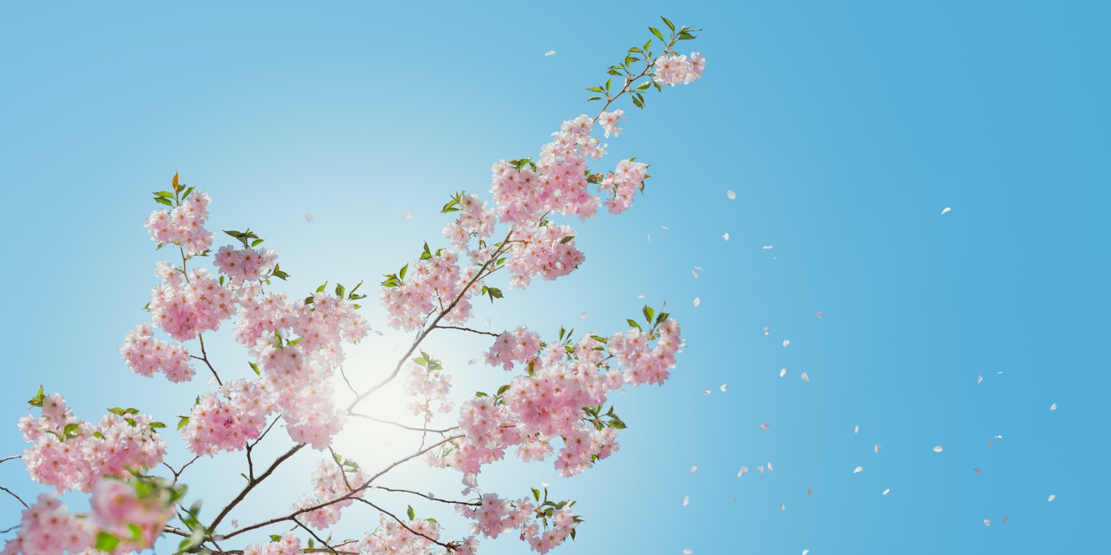 Spring is coming.....
