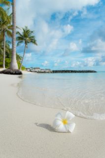 Zonbescherming en huidverzorging, uw gids voor een stralende vakantie!